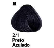 COLORAÇÃO CREME PERMANENTE Nº 2/1 PRETO A...