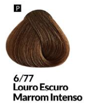 COLORAÇÃO CREME PERMANENTE Nº 6/77 LOURO ...