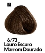COLORAÇÃO CREME PERMANENTE Nº 6/73 LOURO ...