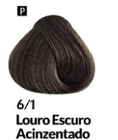 COLORAÇÃO CREME PERMANENTE Nº 6/1 LOURO E...