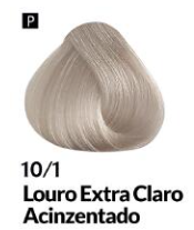 COLORAÇÃO CREME PERMANENTE Nº 10/1 LOURO ...