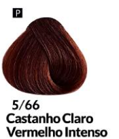COLORAÇÃO CREME PERMANENTE Nº 5/66 CASTAN...