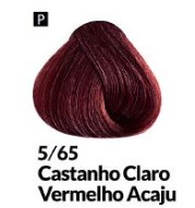 COLORAÇÃO CREME PERMANENTE Nº 5/65 CASTAN...
