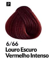 COLORAÇÃO CREME PERMANENTE Nº 6/66 LOURO ...