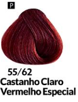 COLORAÇÃO CREME PERMANENTE Nº 55/62 CASTA...