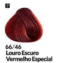 COLORAÇÃO CREME PERMANENTE Nº 66/46 LOURO...